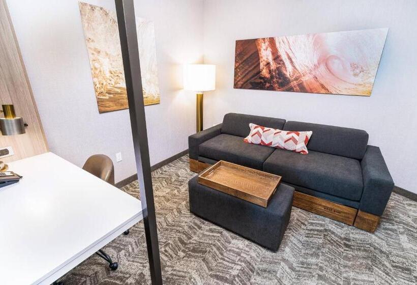 스위트 킹사이즈 침대, Springhill Suites By Marriott Ontario Airport/rancho Cucamonga