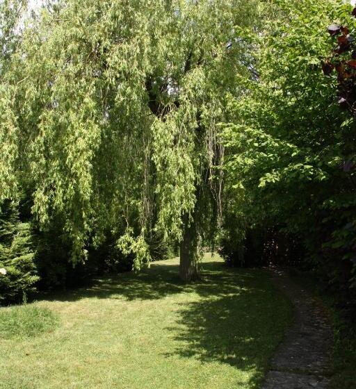 가든 전망 싱글룸, Le Cottage Bnb Chambres Dhotes Paris Saclay