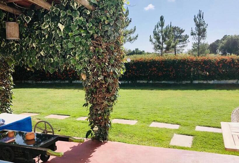 Номер Basic, Ponte Pedra   Melides Country House Adults Only