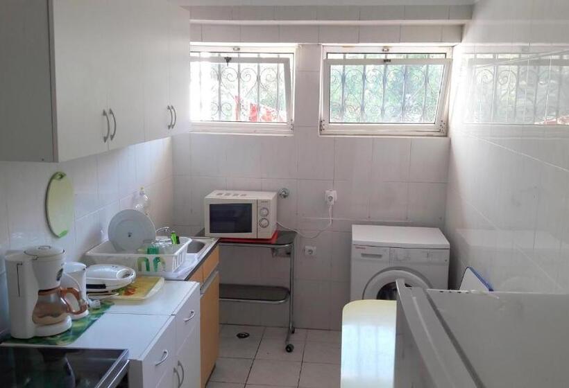 اتاق استاندارد چهارنفره با سرویس بهداشتی مشترک, Palm Guesthouse B&b Rooms