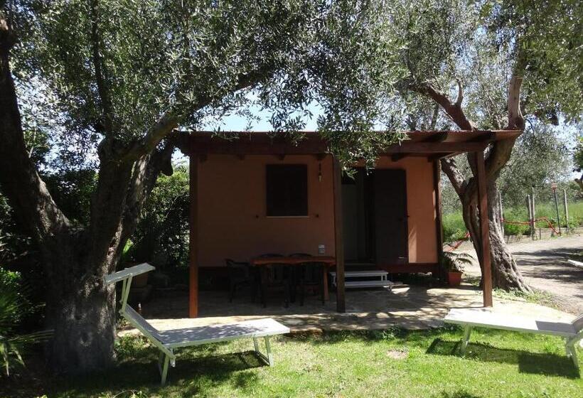 Апартаменты 2 Спальни, Residence Serrone