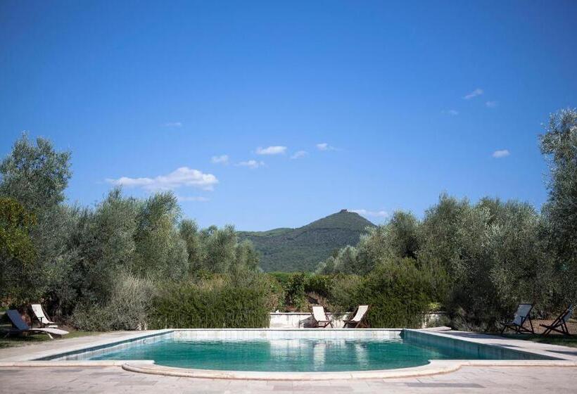 Апартаменты 1 Спальня Вид на Сад, Agriturismo Tra Gli Ulivi, Chiappini