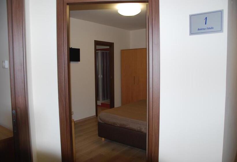 Номер Deluxe, Guest House Caracas