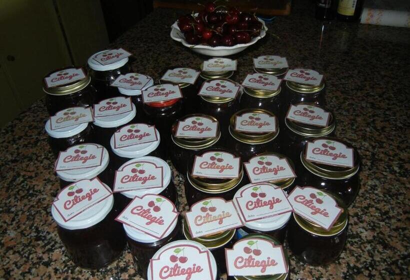 استودیو خانوادگی, Agriturismo Calderino