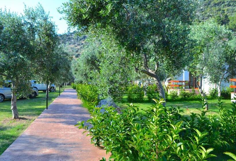 Апартаменты 2 Спальни, Agriturismo Antichi Ulivi