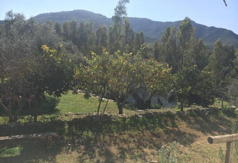 اتاق استاندارد سه نفره, S Imbragu Farm B&b