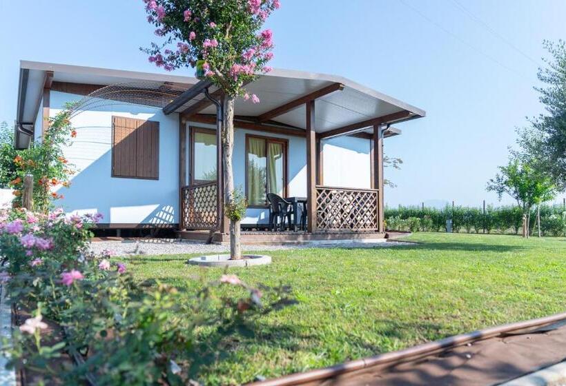 침실 1개 주택, Agriturismo E Agricamping Le Nosare
