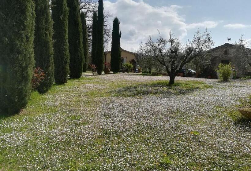 Апартаменты 2 Спальни, Agriturismo La Scarpaia