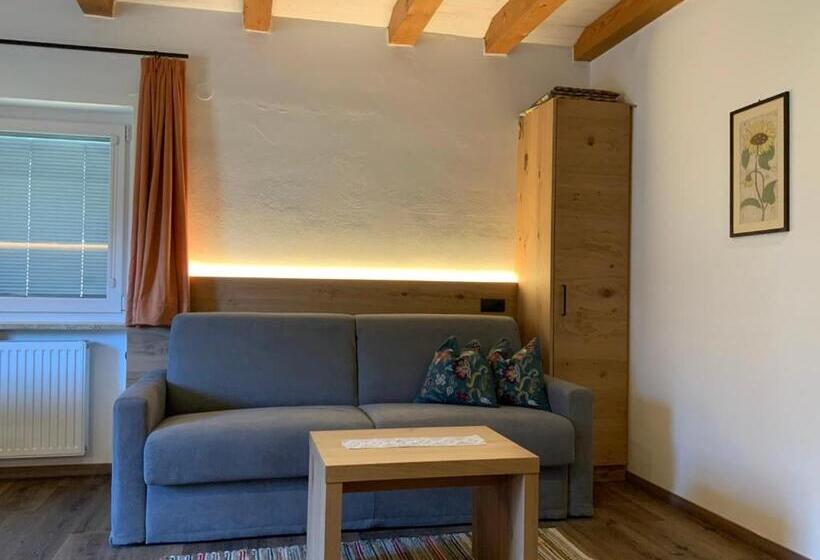 带1个卧室的豪华公寓, Garni & Residence Sonngart