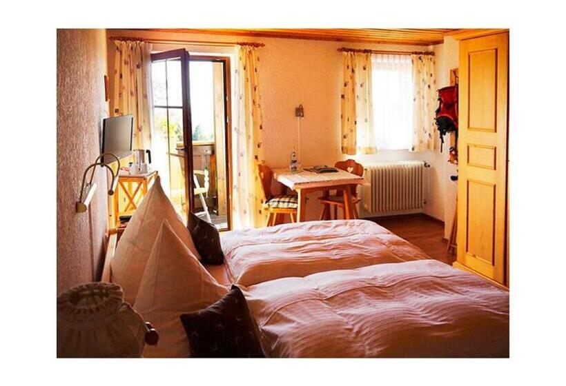Номер Стандарт с Балконом, Pension Draxlerhof