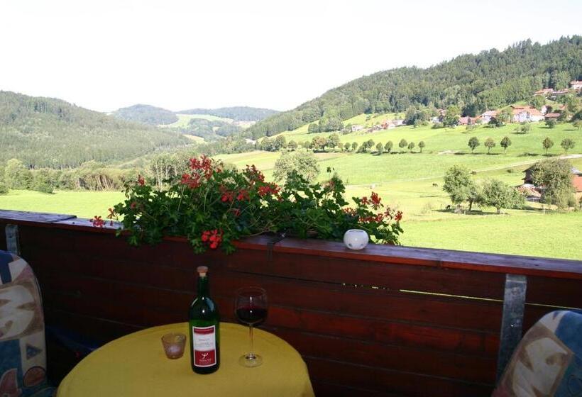 Номер Стандарт, Pension Hoisl