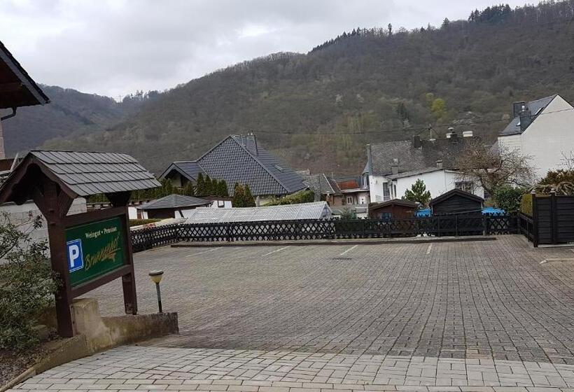 Апартаменты Deluxe 1 Спальня, Brunnenhof