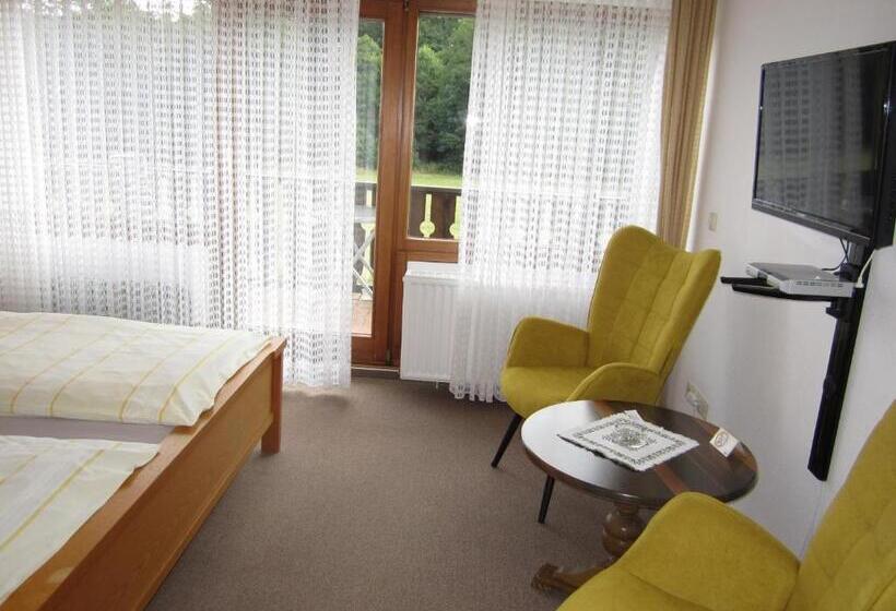 Номер Стандарт с Балконом, Pension Gästehaus Waldhof