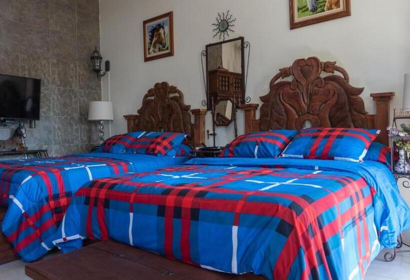 Estúdio Familiar, El Jardín Del Edén B&b Boutique