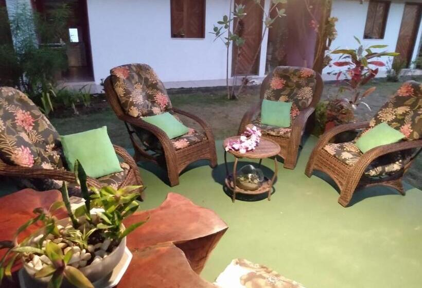 اتاق استاندارد, Nossa Senhora Aparecida