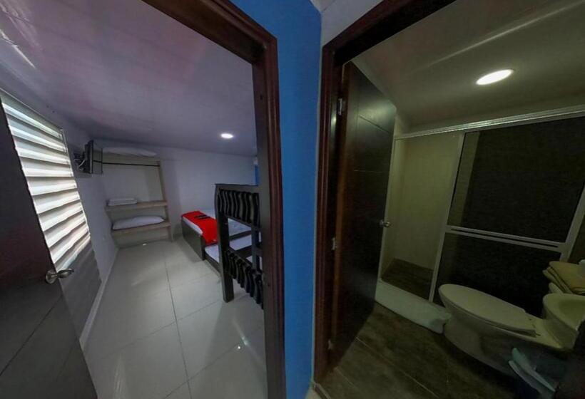 标准工作室, Apartamentos Isla Tropical