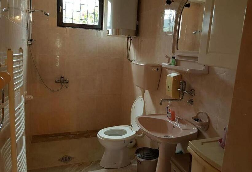 آپارتمان 1 خوابه با تراس, Apartments Astel