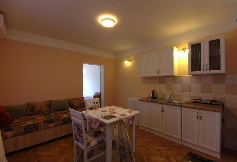 آپارتمان 1 خوابه با تراس, Apartments Astel