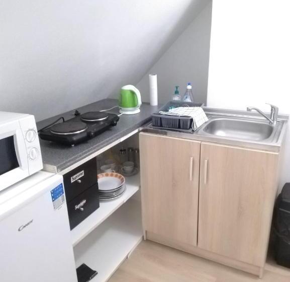 اتاق استاندارد, Vila Pavlínka , Apartmány Losiny