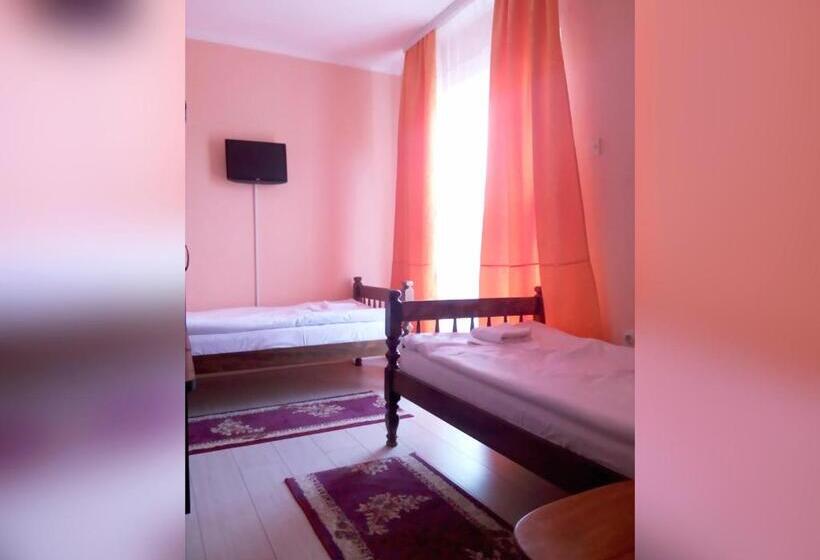 اتاق استاندارد با سرویس بهداشتی مشترک, Villa Vlasta