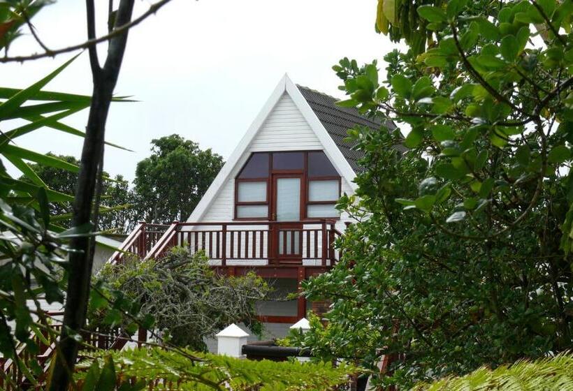 استودیوی استاندارد, Aberdour Guesthouse