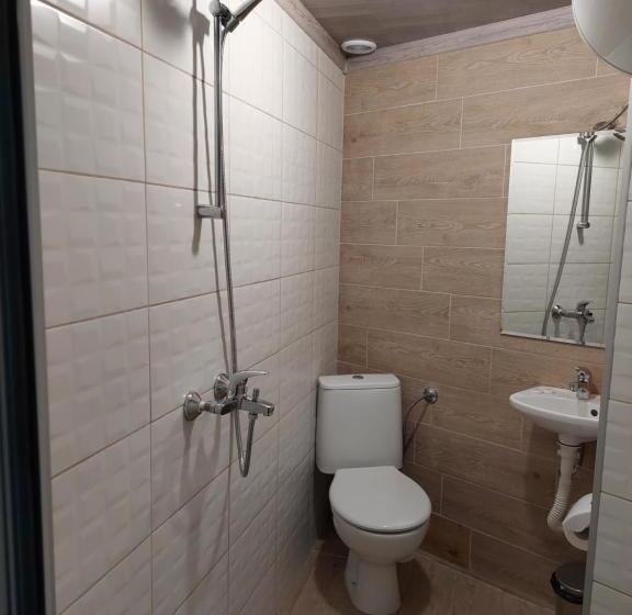 استودیوی استاندارد, Guest House Tedi