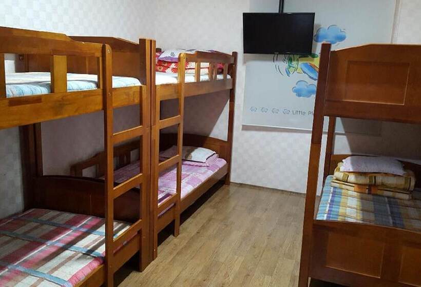 تختخواب در اتاق مشترک, Jeju Sunflower Guest House