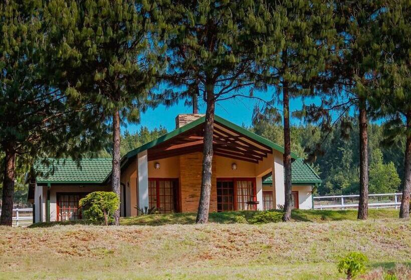 Шале 1 Спальня, Silver Mist Resort, Haenertsburg
