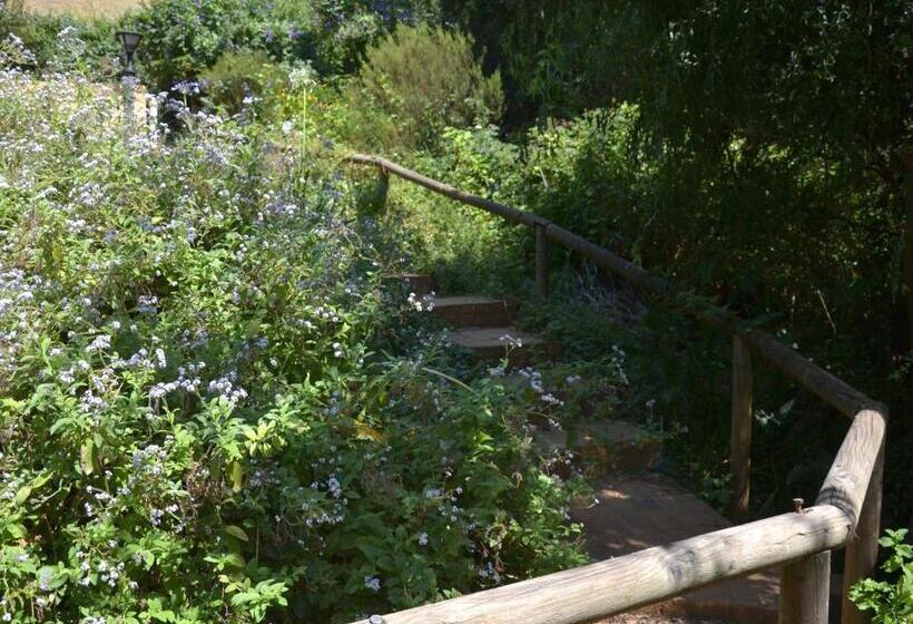 اتاق استاندارد با چشم‌انداز کوهستان, Glasshouse In The Winelands