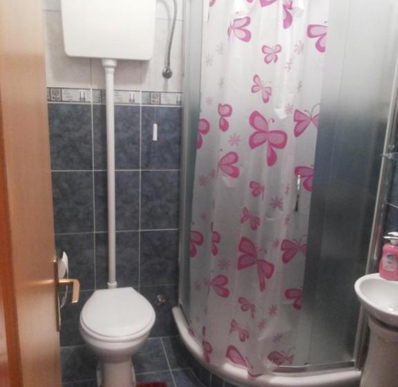 استودیو خانوادگی, Guest House Mirijevski Konak