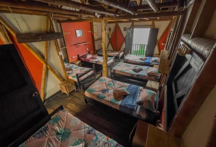 تختخواب در اتاق مشترک, Hostal Bambu