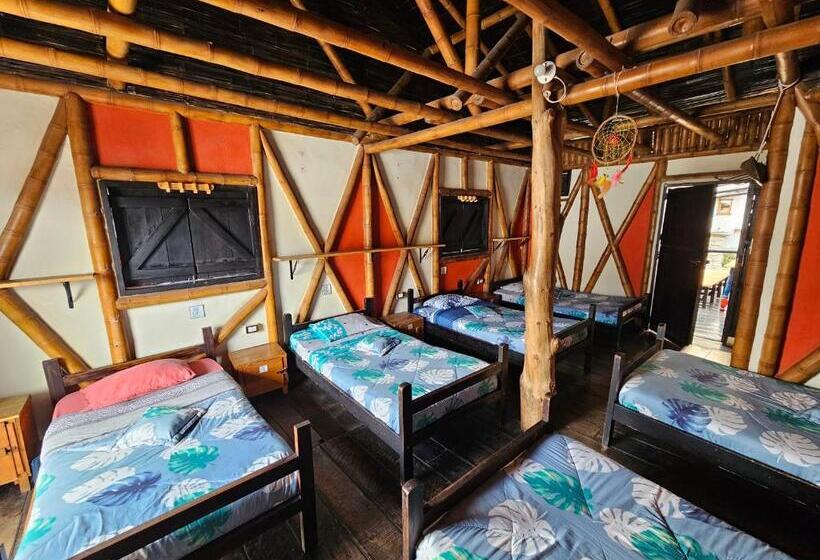 تختخواب در اتاق مشترک, Hostal Bambu