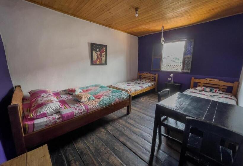 اتاق استاندارد چهارنفره با سرویس بهداشتی مشترک, Hostal Bambu