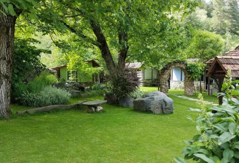 Номер Economy, Eco Garden