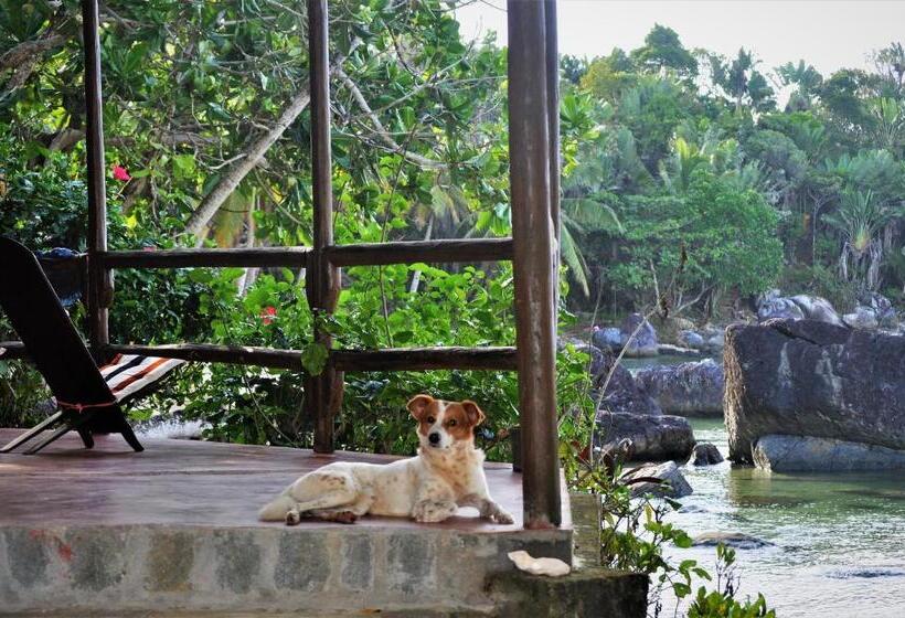 آپارتمان 1 خوابه با چشم‌انداز دریا, Natiora Green Lodge