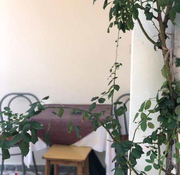 آپارتمان 1 خوابه با چشم‌انداز دریا, Guest House Plima 2