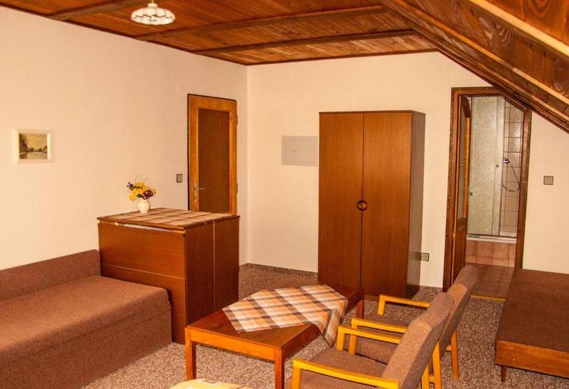 Номер Стандарт, Privát   Harrachov 392