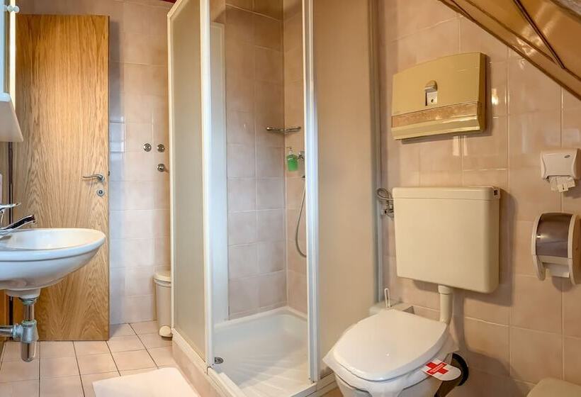اتاق اکونومی, Guest House Pri Cesarju