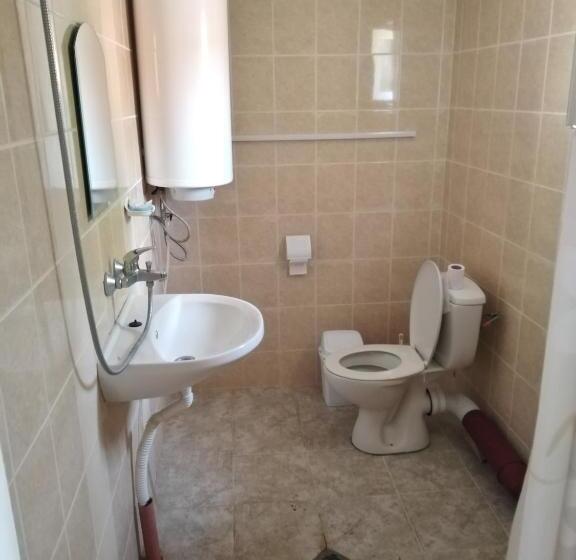 Апартаменты 1 Спальня, Panayotovi Guest House