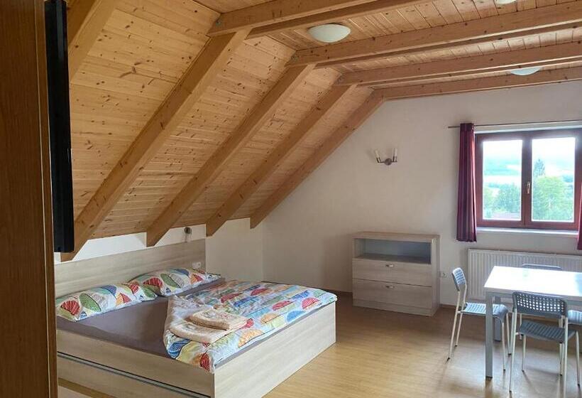 اتاق استاندارد, Penzion Ovčárna