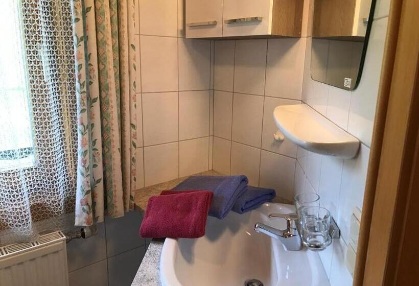 Номер Стандарт Индивидуальный, Pension Greimelbacherhof