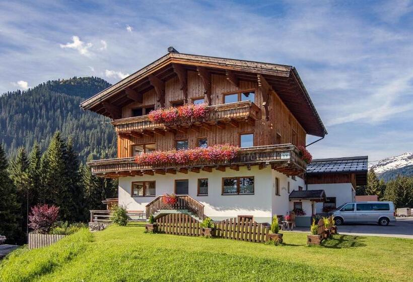 Номер Стандарт, Pension Sattelkopf