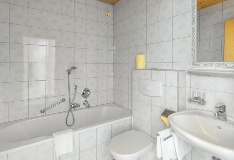 Номер Стандарт, Pension Sattelkopf