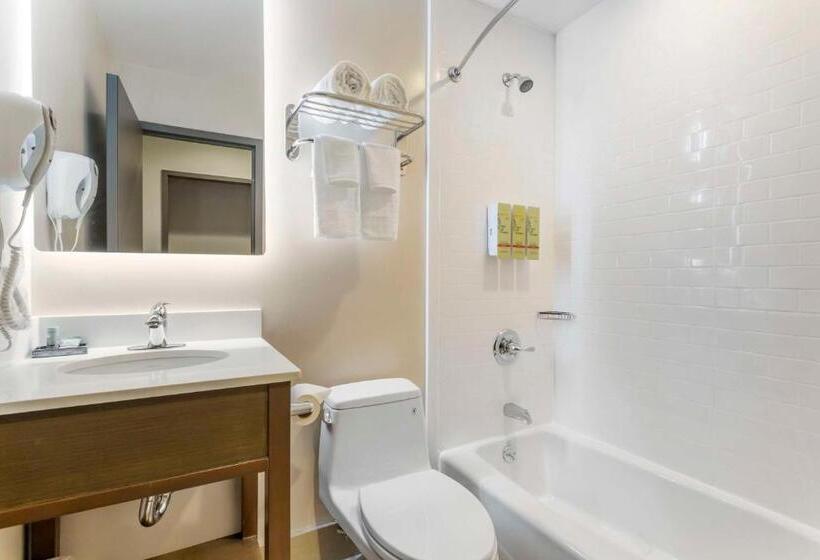 Стандартный Номер Кровать Кинг, Best Western Brooklynconey Island Inn