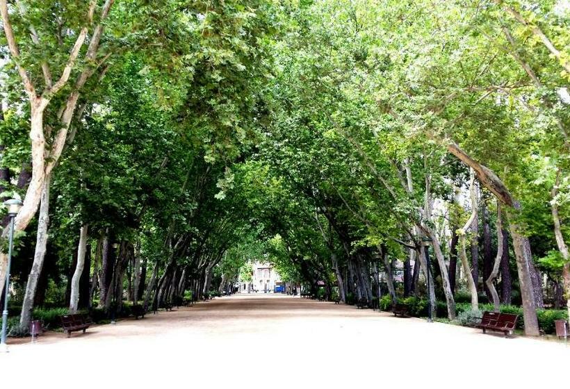 اتاق خانوادگی, Sercotel Los Llanos