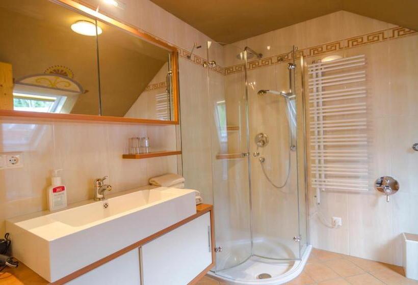 Апартаменты 1 Спальня с Балконом, Biolandhaus Arche