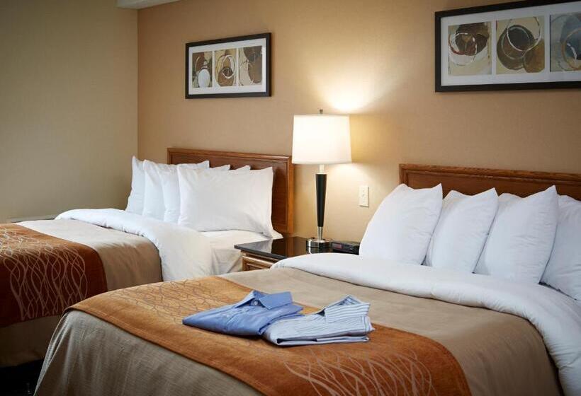 Номер Deluxe, Comfort Inn