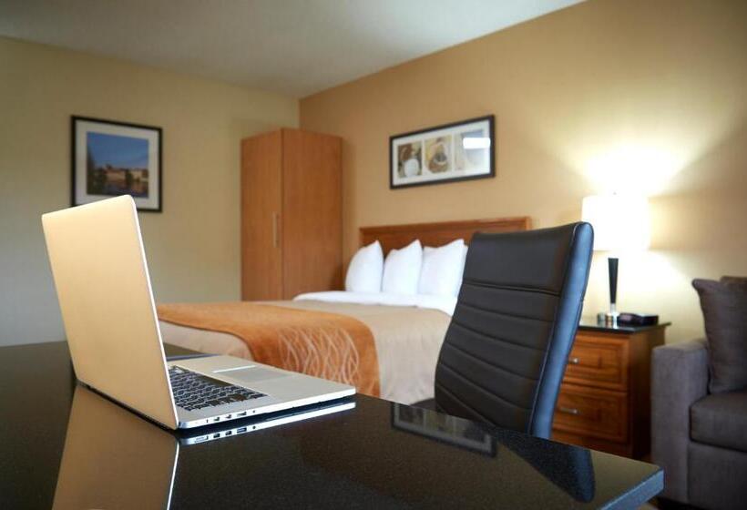 一楼标准间, Comfort Inn