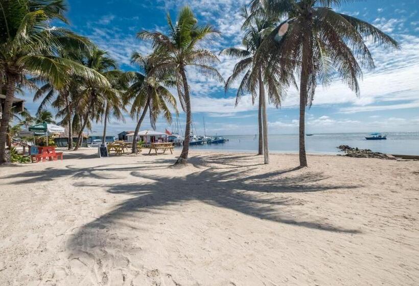 Полулюкс Повышенной Комфортности, Holiday