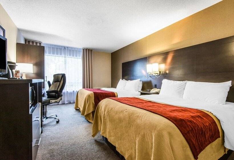 舒适型房间, Comfort Inn
